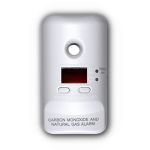 Combo of Carbon Monoxide Alarm and Natural Gas Alarm with Display and Silence Facility